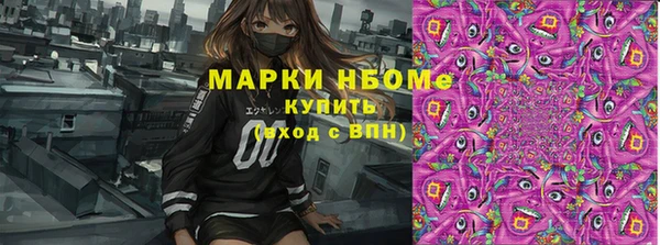 гидра Аркадак