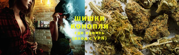 гидра Аркадак