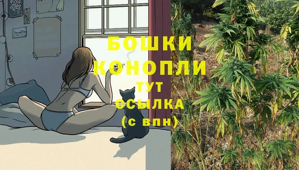 мяу мяу мука Арсеньев