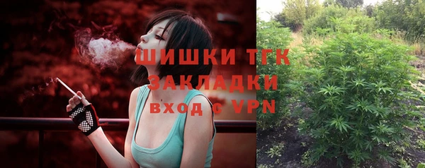 гидра Аркадак